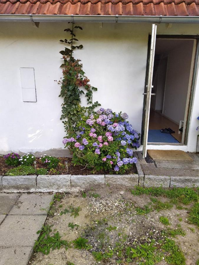Skovhusets B&B I Gislev Εξωτερικό φωτογραφία